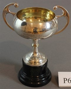 Image description is not available for P67.231a-b